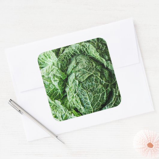 Savoy Cabbage Vierkante Sticker (Envelop)