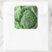 Savoy Cabbage Vierkante Sticker (Tas)