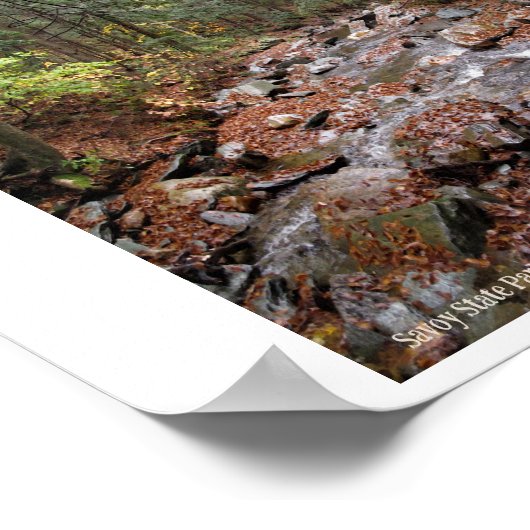 Savoy Mountain State Park Berkshires Poster (Hoek)