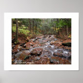 Savoy Mountain State Park Berkshires Poster (Voorkant)