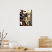 Savuka knuffelend Oriole - Poster (Keuken)