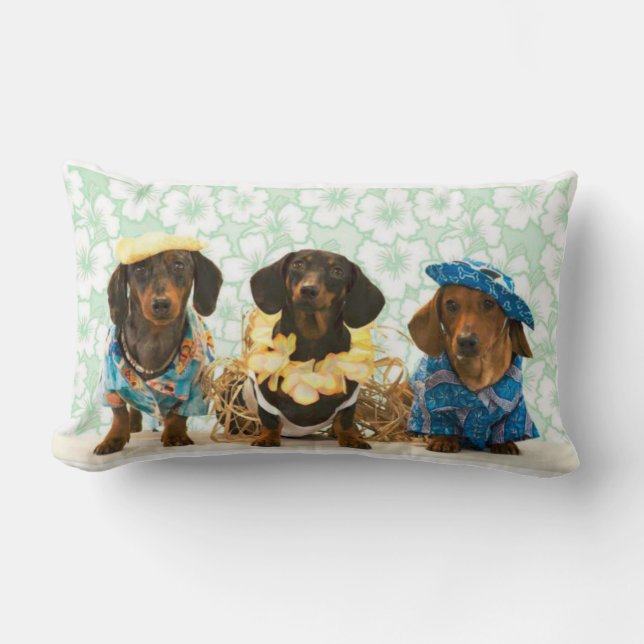 Savvy Dachshunds Kussen (Voorkant)