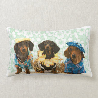 Savvy Dachshunds Kussen