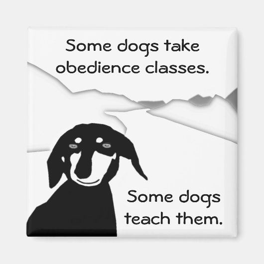 Savvy Sausage Wisdom - gehoorzaamheidslessen Magneet (Voorkant)