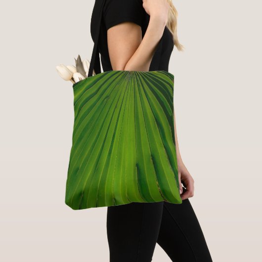 Saw Palmetto Fan Tas (Dichtbij)