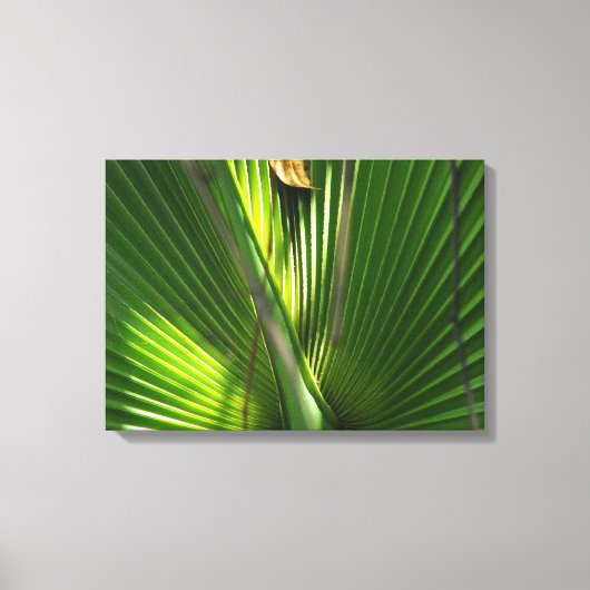 Saw Palmetto Photo Closeup Canvas Afdruk (Voorkant)