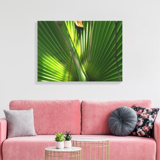 Saw Palmetto Photo Closeup Canvas Afdruk (Insitu (Woonkamer))