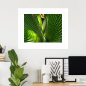 Saw Palmetto Photo Closeup Poster (Thuiskantoor)