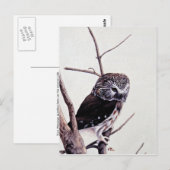 Saw-wdweuil Briefkaart (Voorkant / Achterkant)