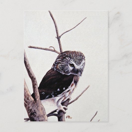 Saw-wdweuil Briefkaart (Voorkant)