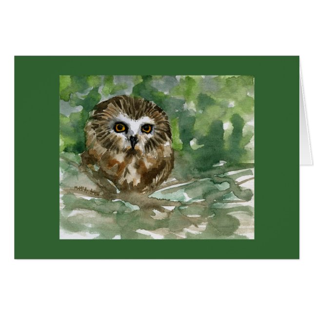 "Saw Whet Owl" (Voorkant Horizontaal)