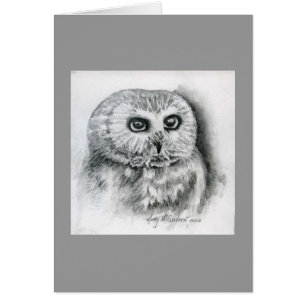 "Saw Whet Owl"