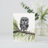 Saw Whet Owl Briefkaart (Staand voorkant)