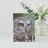 Saw-whet Owl Briefkaart (Staand voorkant)