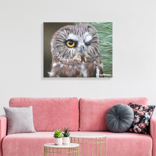 Saw-whet Owl Canvas Afdruk (Insitu (Woonkamer))