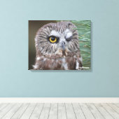 Saw-whet Owl Canvas Afdruk (Insitu (Houten vloer))