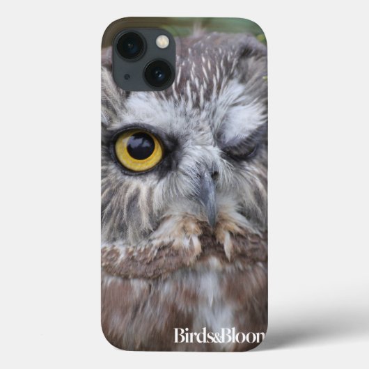 Saw-whet Owl Case-Mate iPhone Case (Achterkant)