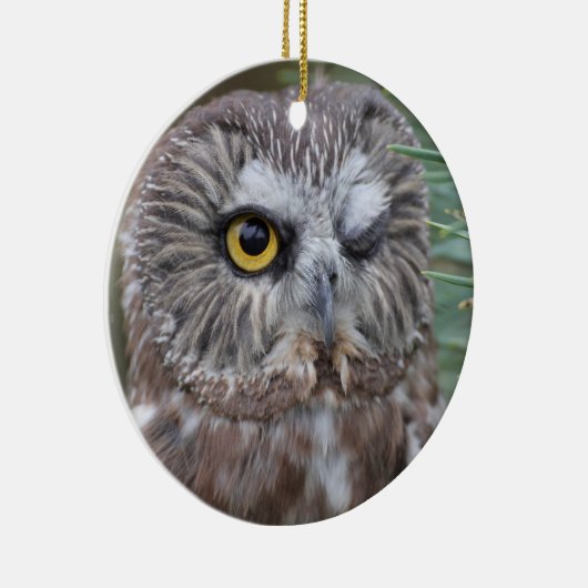 Saw-whet Owl Keramisch Ornament (Rechts)