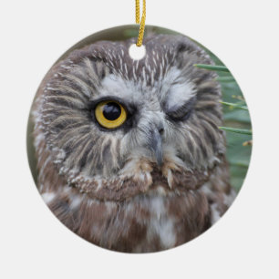 Saw-whet Owl Keramisch Ornament