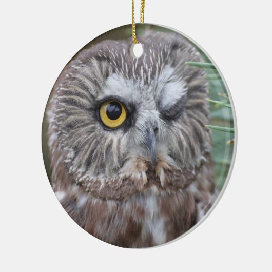 Saw-whet Owl Keramisch Ornament (Links)