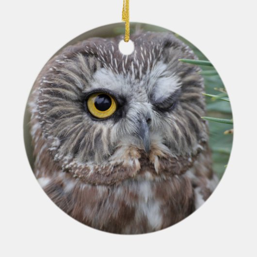 Saw-whet Owl Keramisch Ornament (Achterkant)