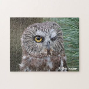 Saw-whet Owl Legpuzzel