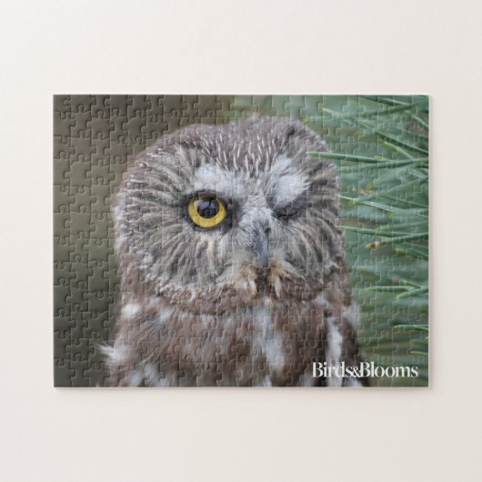 Saw-whet Owl Legpuzzel (Horizontaal)