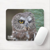 Saw-whet Owl Muismat (Met muis)