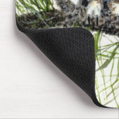 Saw Whet Owl Muismat (Hoek)