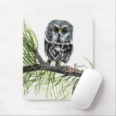 Saw Whet Owl Muismat (Met muis)