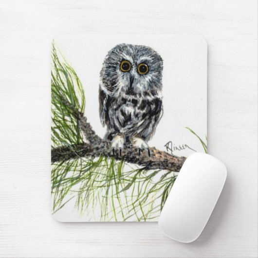 Saw Whet Owl Muismat (Met muis)