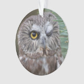 Saw-whet Owl Ornament (voorkant)
