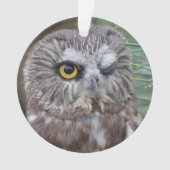 Saw-whet Owl Ornament (voorkant)