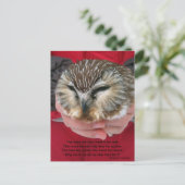 Saw-whet Owl Poem-Briefkaart Briefkaart (Staand voorkant)