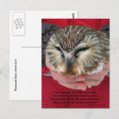 Saw-whet Owl Poem-Briefkaart Briefkaart (Voorkant / Achterkant)