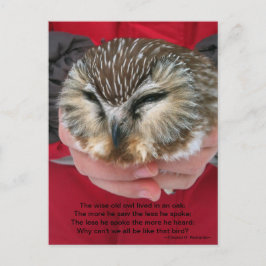 Saw-whet Owl Poem-Briefkaart Briefkaart