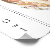 Saw Whet Owl Poster (Hoek)