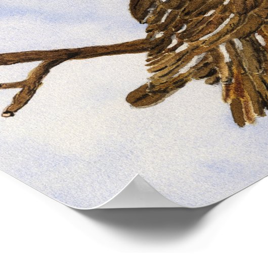 Saw-Whet Owl Poster (Hoek)