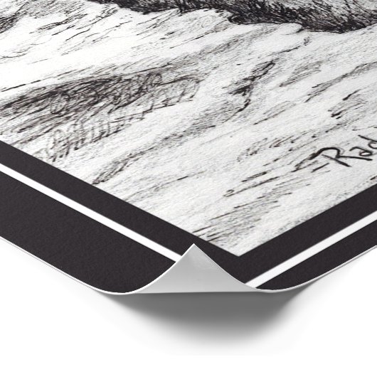 Saw-Whet Owl  Poster (Hoek)