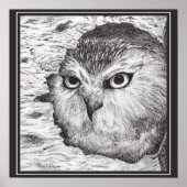 Saw-Whet Owl  Poster (Voorkant)