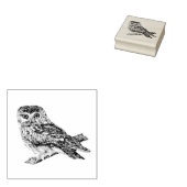 Saw Whet Owl Rubberstempel (Gestempeld)
