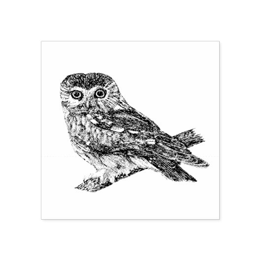 Saw Whet Owl Rubberstempel (Afrduk)