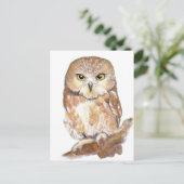 Saw Whet Owl, Waterverf Bird Collectie Briefkaart (Staand voorkant)