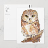 Saw Whet Owl, Waterverf Bird Collectie Briefkaart (Voorkant / Achterkant)