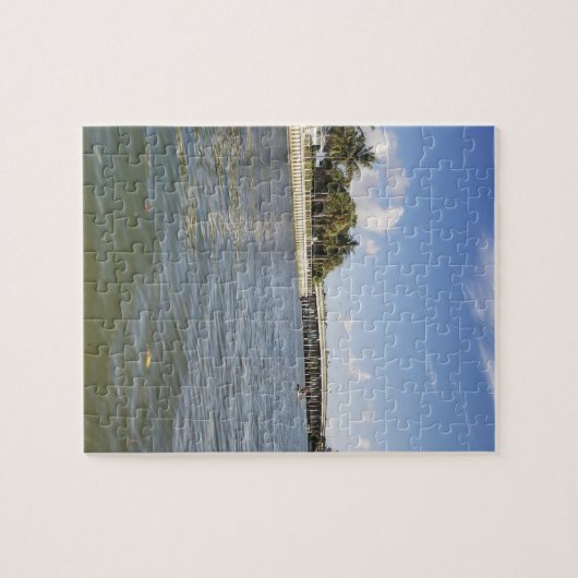 Sawfish Bay Park Alternate A1A Bridge Legpuzzel (Horizontaal)