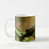 Sawfly Larvae Bug Mok (Links)