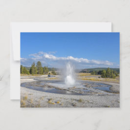 Sawmill Geyser, Yellowstone National Park Briefkaart