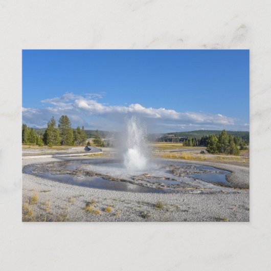 Sawmill Geyser, Yellowstone National Park Briefkaart (Voorkant)