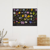 Sawtooth Alpine Flora Poster (Keuken)