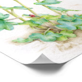 Saxifraga cernua alpine plant waterverf kunst poster (Hoek)